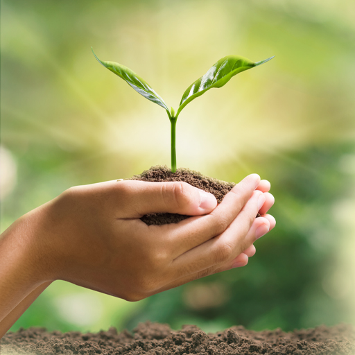 2022_Website_Who We Are_ Core Belief 2 2402