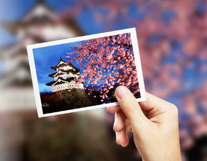 TripCare 360 Insurance